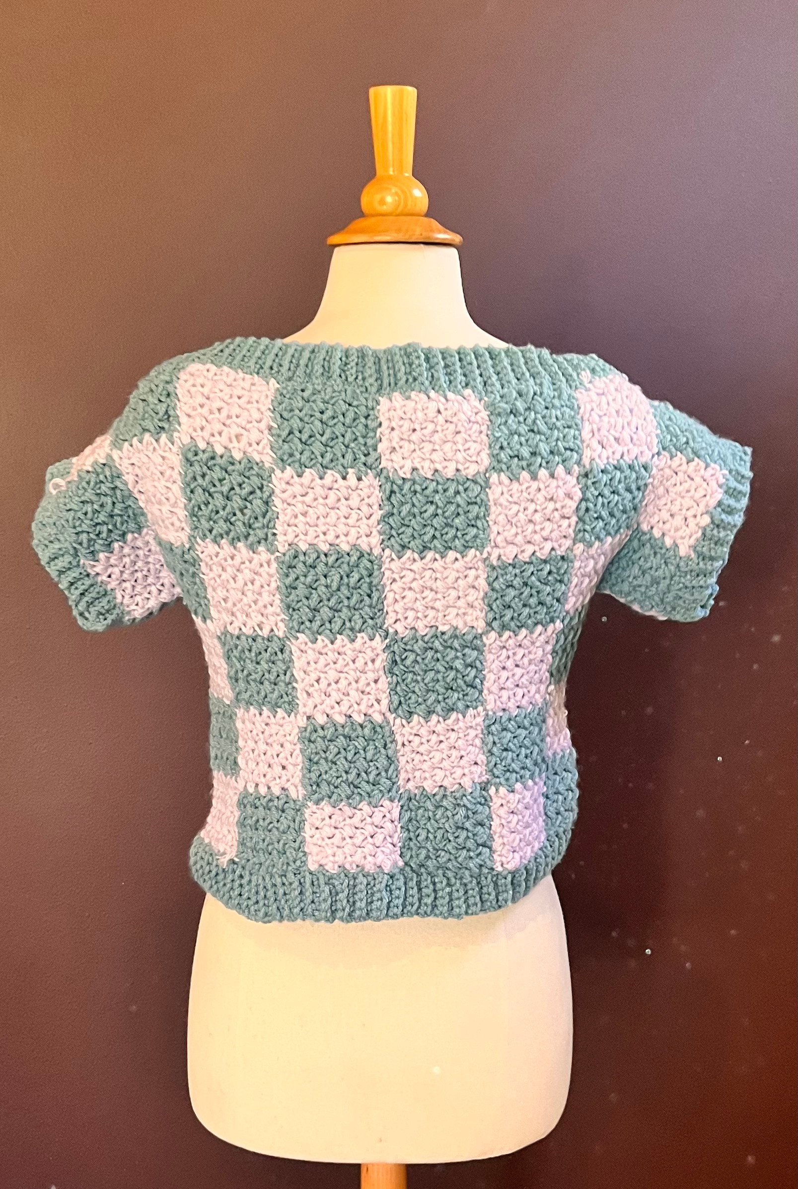 Checkerboard Sweater Vest — back